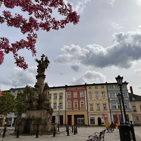 Londyn Zdroj 16 شقة *